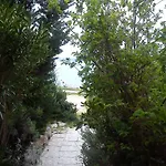 Atanasov