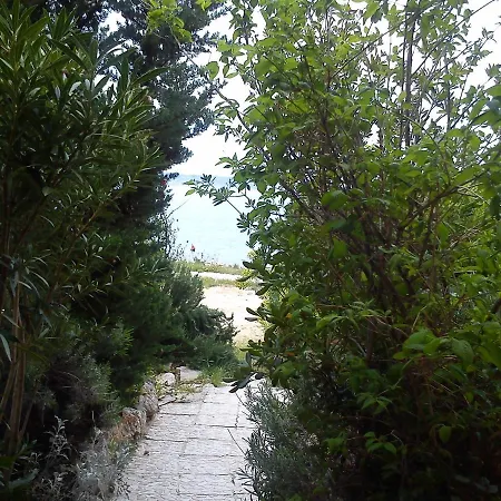 Atanasov